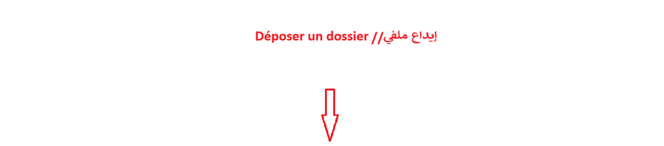 Résultats de la recherche